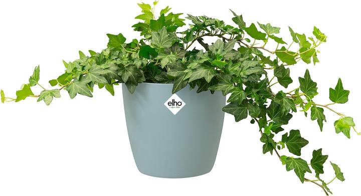 Produktbild Elho Blumentopf (14 x 12.60 cm)