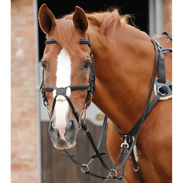 Actual product image Premier Equine Stay-Up