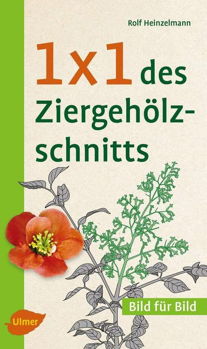 Produktbild 1 x 1 des Ziergehölzschnitts (Deutsch, Rolf Heinzelmann, 2016)