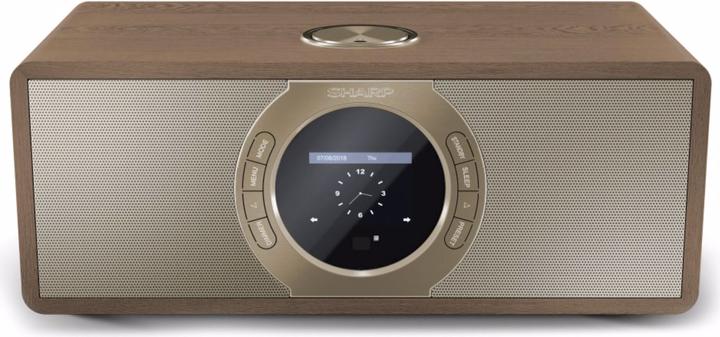 Sharp DR-I470(BR)PRO (DAB, FM, WiFi)