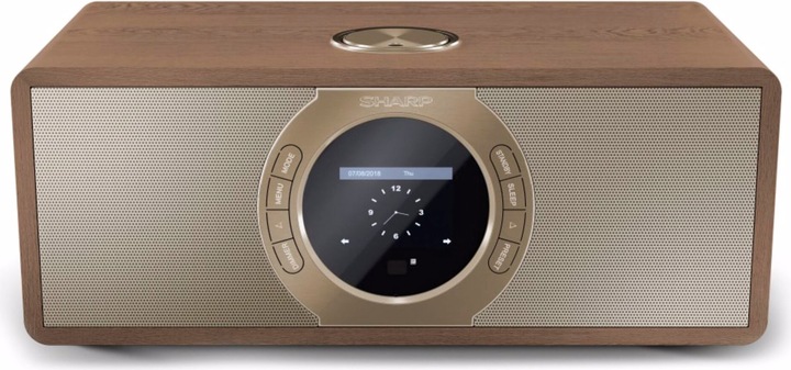 Actual product image Sharp DR-I470(BR)PRO (FM, DAB+, Wi-Fi)