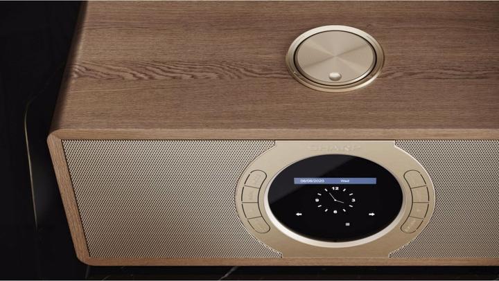 Immagine prodotto Sharp DR-I470(BR)PRO (DAB, FM, WiFi)