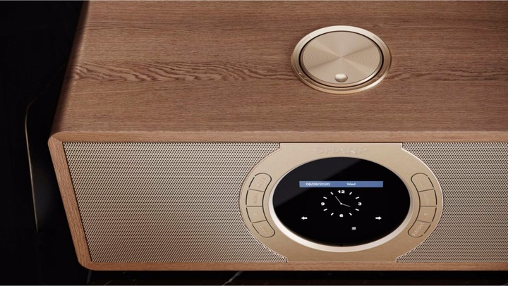 Actual product image Sharp DR-I470(BR)PRO (FM, DAB+, Wi-Fi)