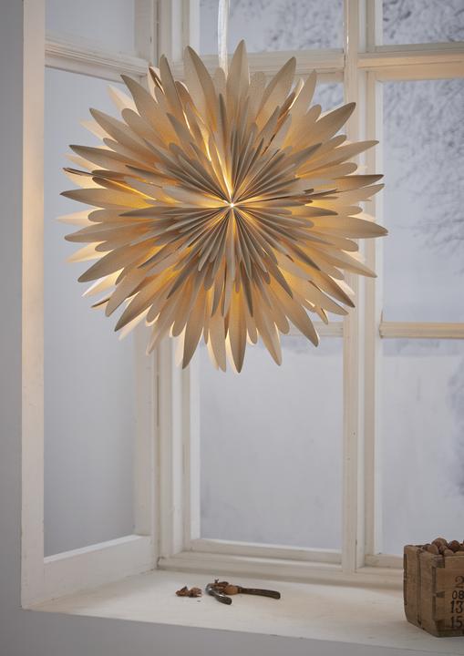 Image du produit Star Trading Hiver