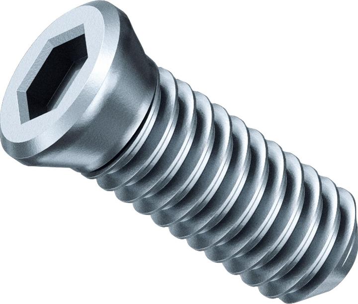 Productafbeelding Fein Elektrisch gereedschap Klemschroef SX voor indexeerbaar inzetstuk SX