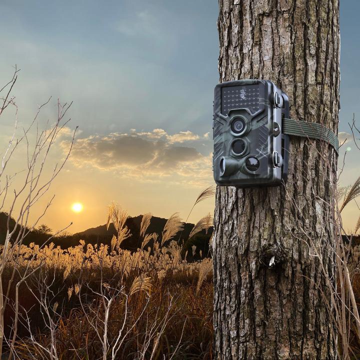 Immagine prodotto Casativo Telecamera per animali selvatici Full HD con 3 sensori di movimento, funzione di scatto continuo e