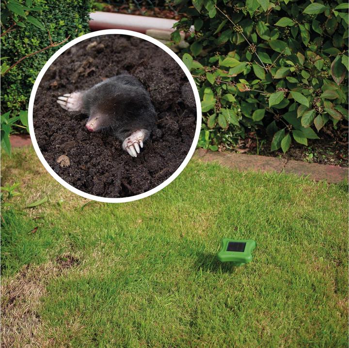 Actual product image Gardigo Solar mole defense