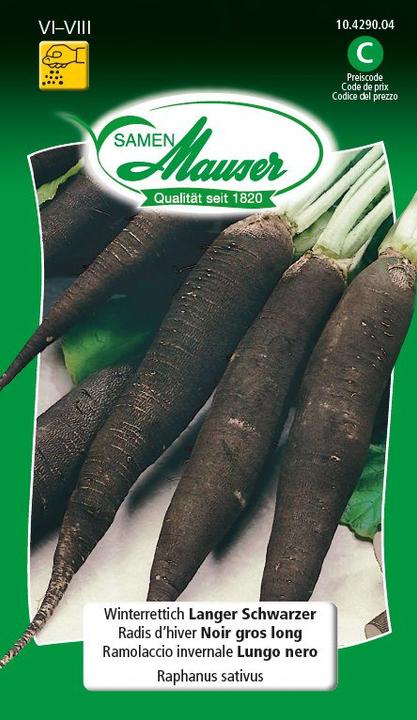 Image du produit Samen Mauser Radis d'hiver Long black (Graines de légumes)