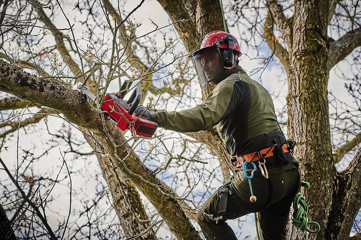 Produktbild Einhell Fortexxa 18/20 TH Solo (Akku Kettensäge)