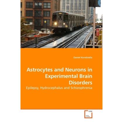 Astrocytes and Neurons in Experimental Brain Disorders, Fachbücher von Daniel Kondziella