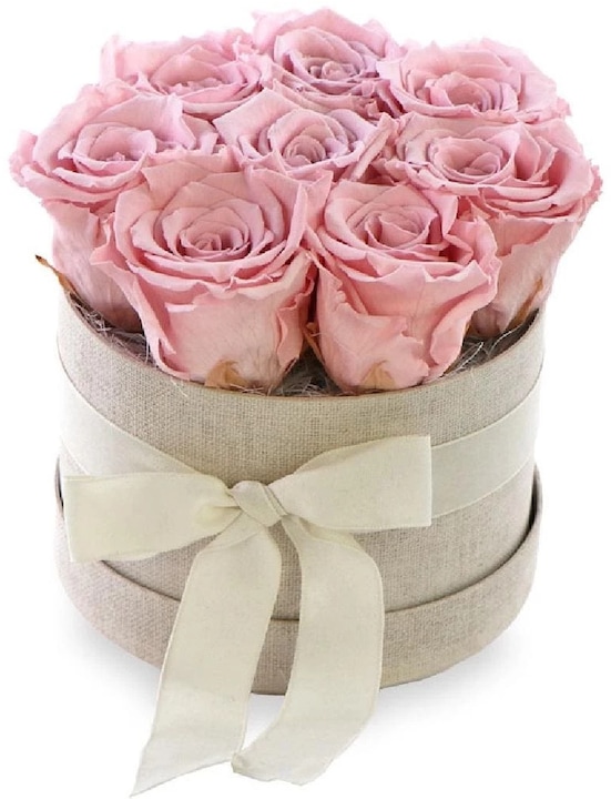 Immagine prodotto Soli Collection Fiori secchi Rose 8 pezzi, Rosa (Fiori secchi)