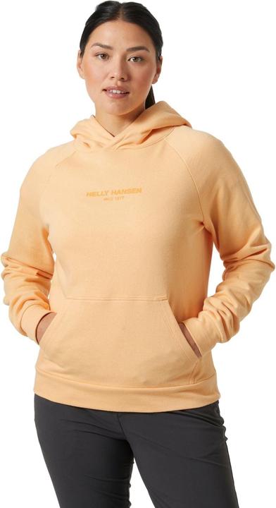 Image du produit Helly Hansen W Core Hoodie (S)