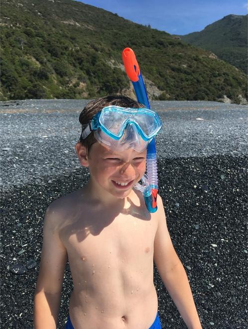 Produktbild Schildkröt Barbados