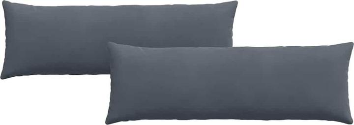 Gris foncé