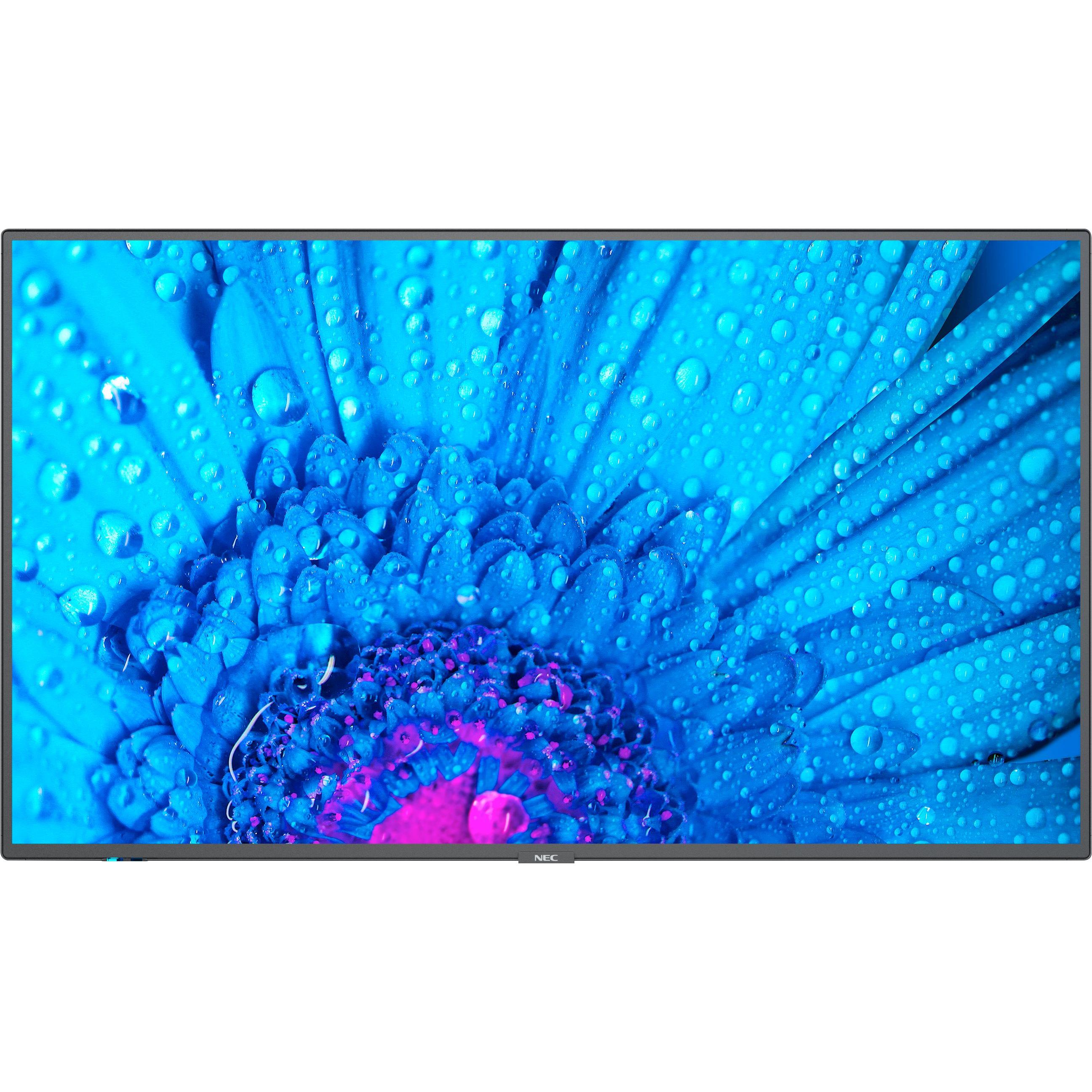 NEC MultiSync M551 (3840 x 2160 Pixel, 55"), Digital Signage, Schwarz