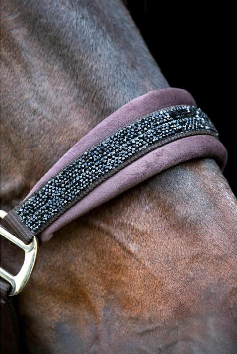 Immagine prodotto Horse Guard Angel