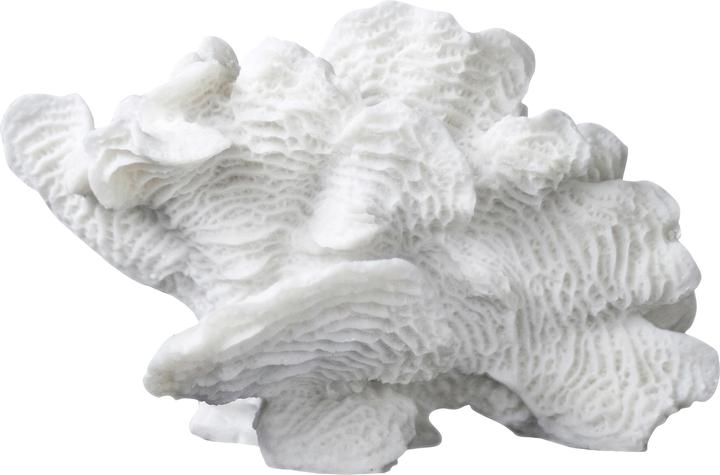 Actual product image Mette Ditmer Coral