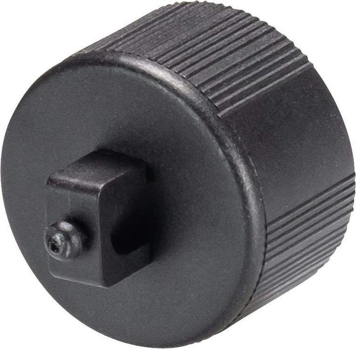 Produktbild Mini RST16i3/2 Verschlussstück Kodierung schwarz (Solarstecker)