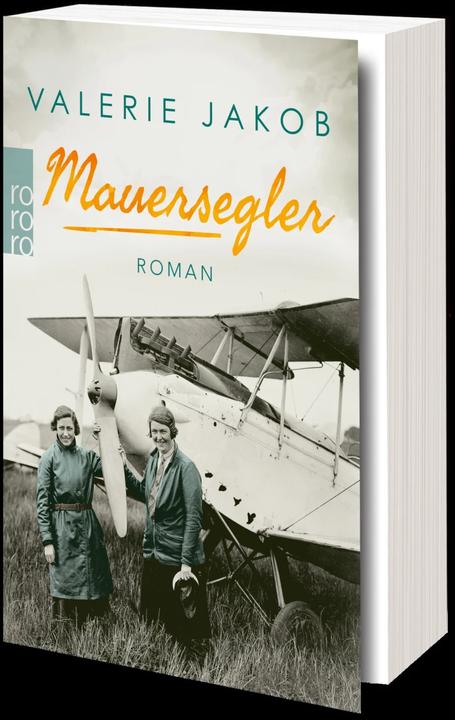 Actual product image Mauersegler (German, Valerie Jakob, 2022)