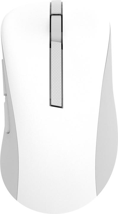 ASUS Wireless Mouse | MD102 | Mouse | 2.4 GHz, Bluetooth | White (Kabellos)