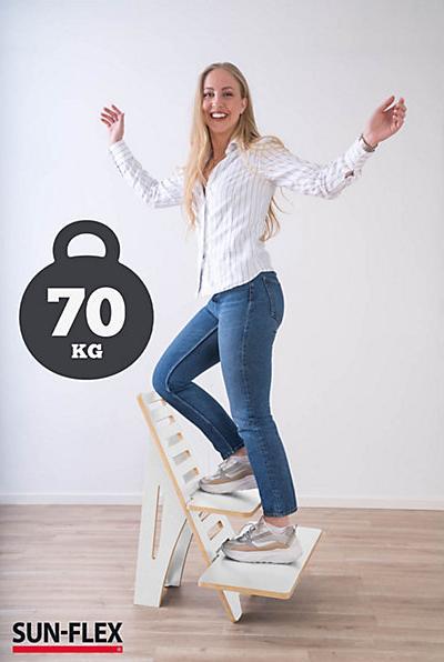 Produktbild Sun-Flex Laptophalter Easydesk Rise