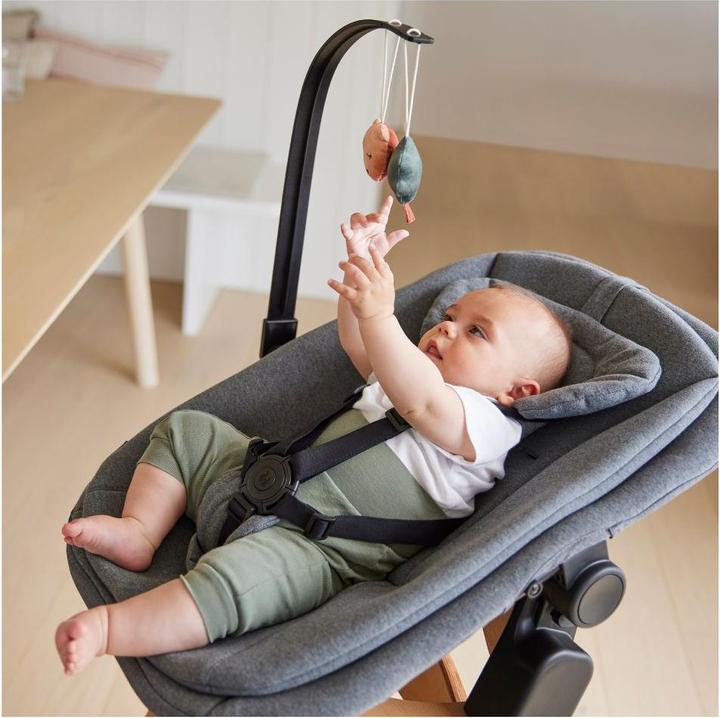Actual product image Hauck Highchair Bouncer Mobile Bear