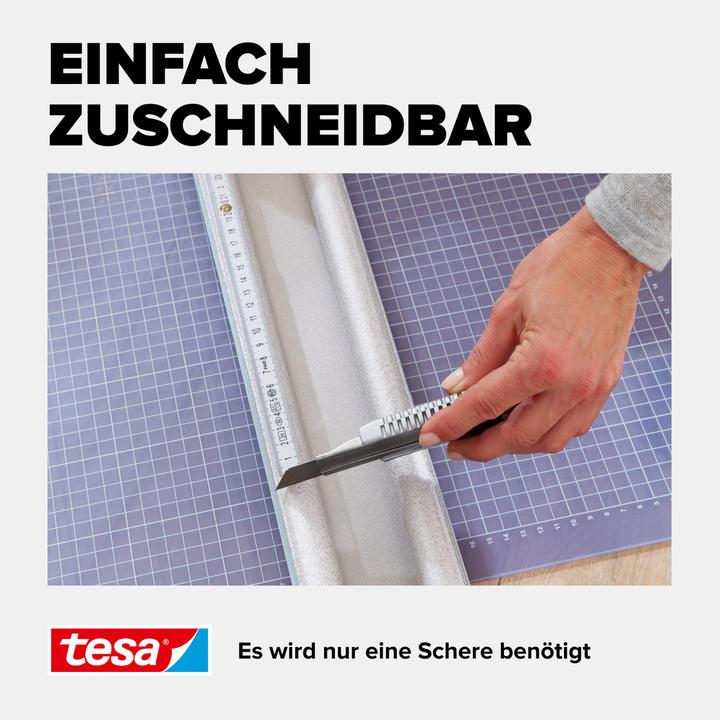 Produktbild tesa tesamoll Türbodendoppeldichtung, Türdichtung für glatte Böden