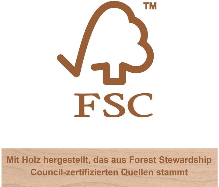 Actual product image Fisher-Price wooden peek-a-boo game