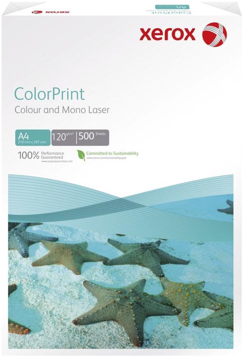 Image du produit Xerox ColorPrint blanc (120 g/m², 500 x, A4)