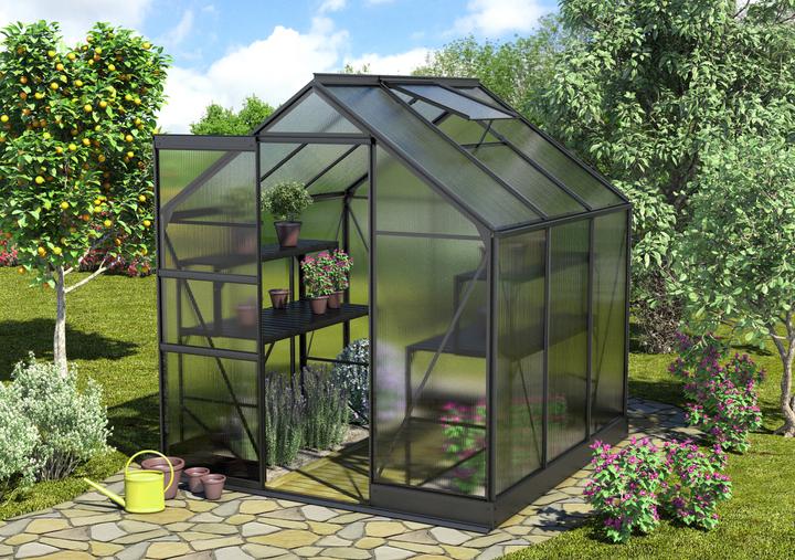 Produktbild Vitavia Gewächshaus Apollo 3800