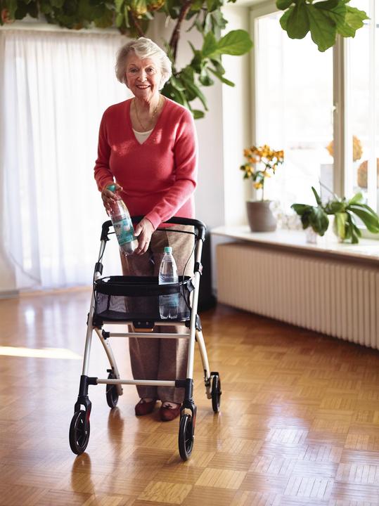 Actual product image Ridder Indoor