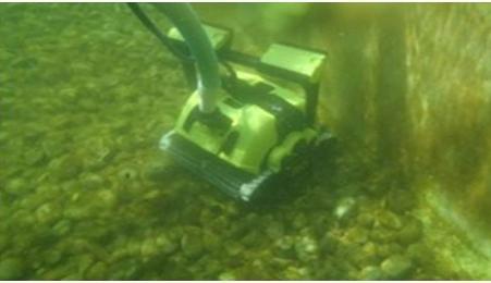 Immagine prodotto Dolphin Bio Suction mit Caddy