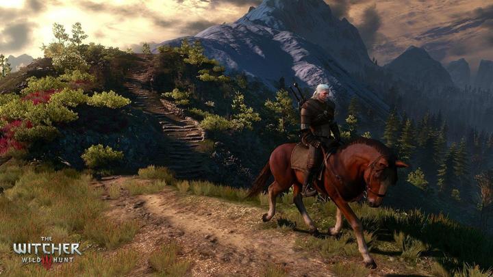 Immagine prodotto Bandai Namco The Witcher 3: Wild Hunt (Switch, DE)