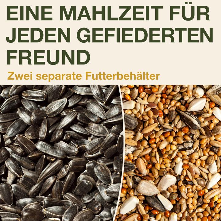 Productafbeelding Swissinno Vogel-Futtersilo "Davos" SMART BIRDS. Hellblau