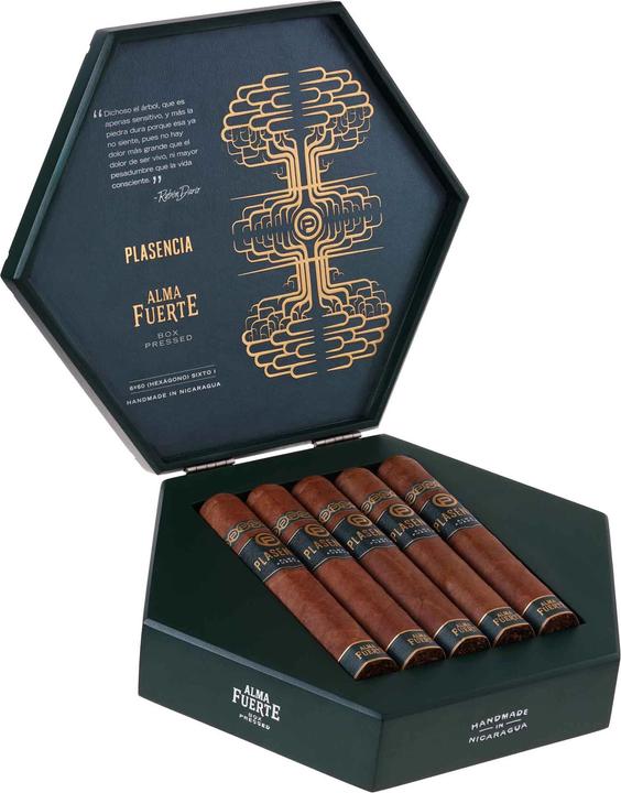 Actual product image Plasencia Alma Fuerte Sixto I Hexagono Colorado Claro (6x60) (Hexagon)