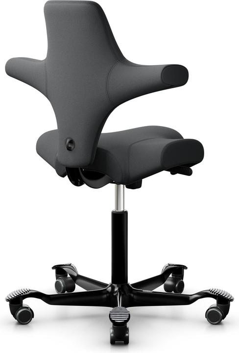 Actual product image HAG Capisco 8106 Select