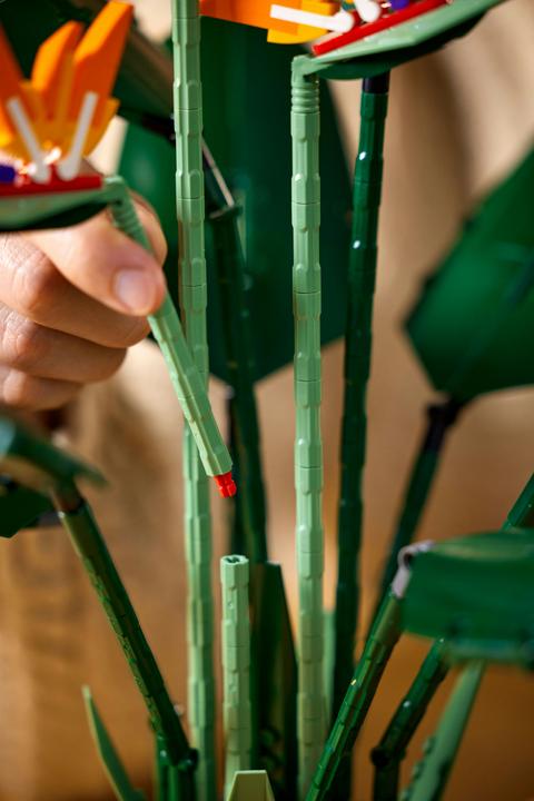 Actual product image LEGO Bird of Paradise (10289, LEGO Rare Sets)