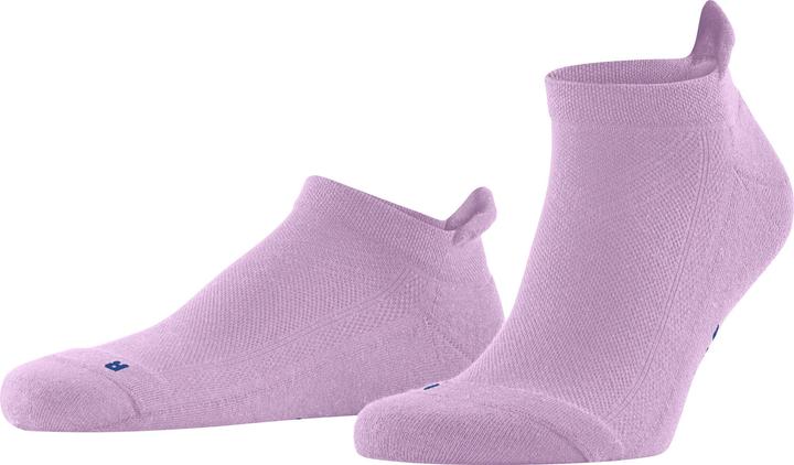 Shell Pink