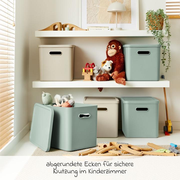 Image du produit Rotho Babydesign Spielzeugbox KAYO L Sage Green