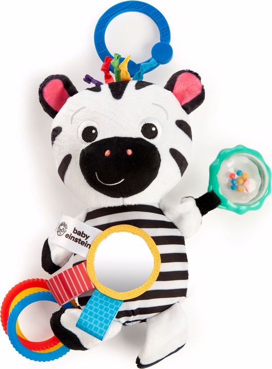 Baby Einstein Le jeu sensoriel de Zen