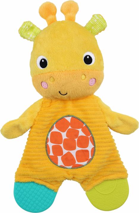 Actual product image Bright Starts Snuggle & teether w. giraffe