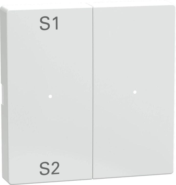 Produktbild Merten Wippe aws 2f Szene1/2 blank MEG5226-0325