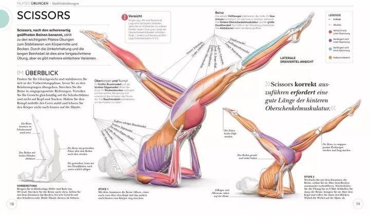 Produktbild Pilates - Die Anatomie verstehen (Deutsch, Tracy Ward, 2022)