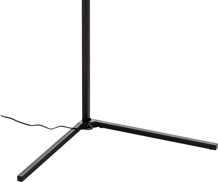 Immagine prodotto Prios Ledion