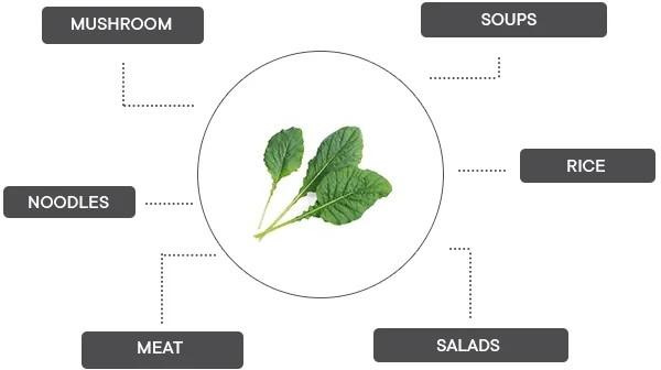 Produktbild Véritable Lingot Komatsuma Spinat BIO (Kräutersamen)