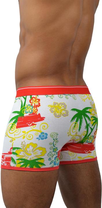 Immagine prodotto Normani 6 pezzi di boxer in cotone retrò (L, confezione da 6)