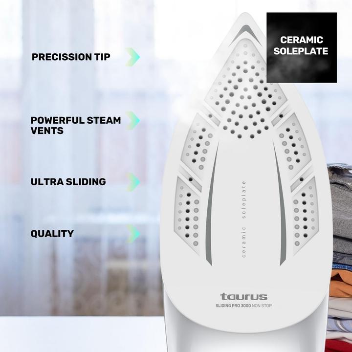 Actual product image Taurus Pro 3000 czarny (3000 W, 300 g/min)