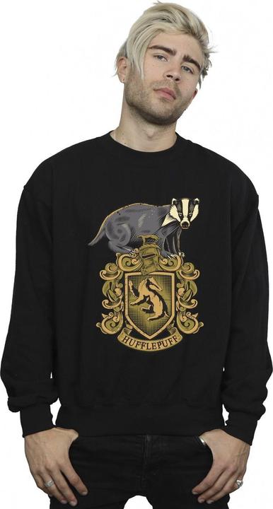 Image du produit - Sweat HUFFLEPUFF SKETCH CREST - Homme (XXL)
