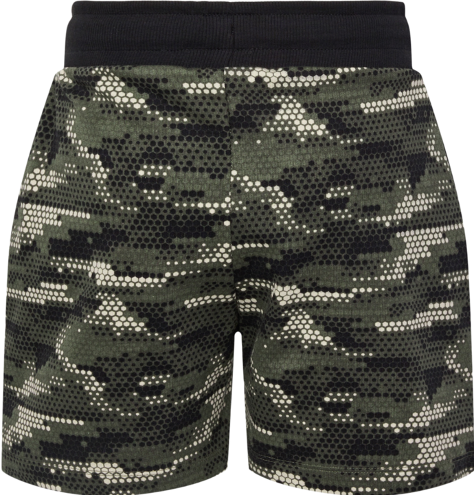 Image du produit hummel Hmlfsk Go Shorts (116)