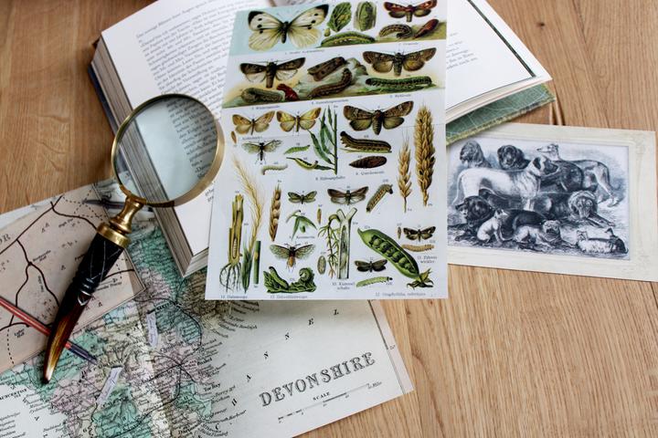 Produktbild Sherlock Holmes Bd. 4 (Deutsch, Steffi Bartsch, Sir Arthur Conan Doyle, 2022)